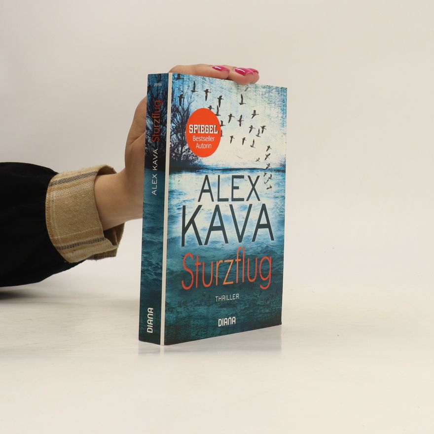 Alex Kava Sturzflug
