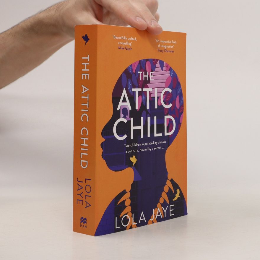 Lola Jaye The Attic Child