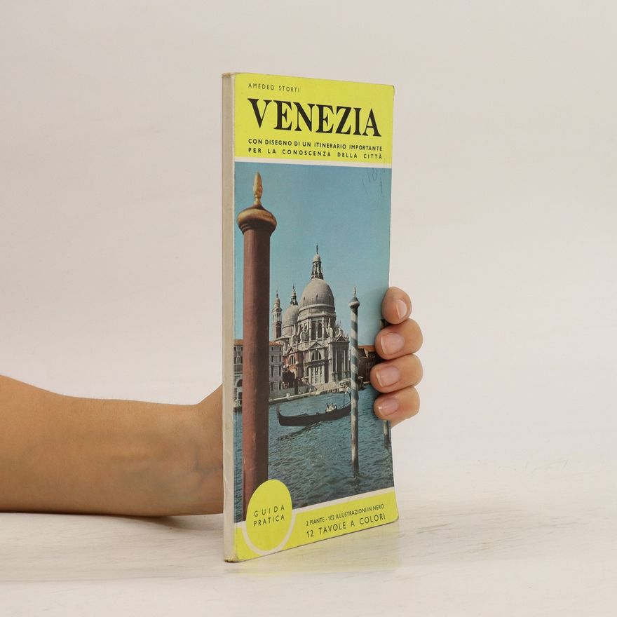 Amedeo Storti Venezia. Guida pratica