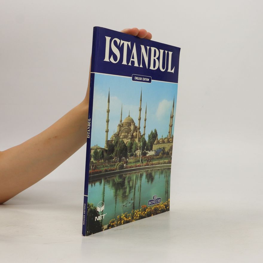Autorenkollektiv Istanbul