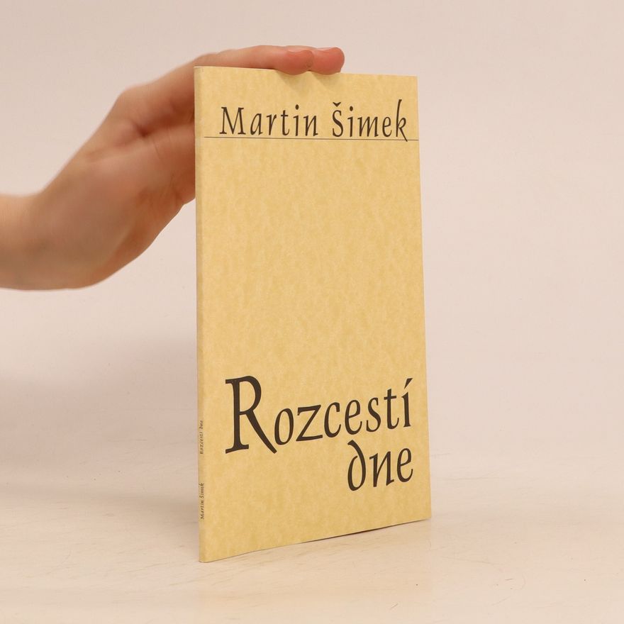 Martin Šimek Rozcestí dne