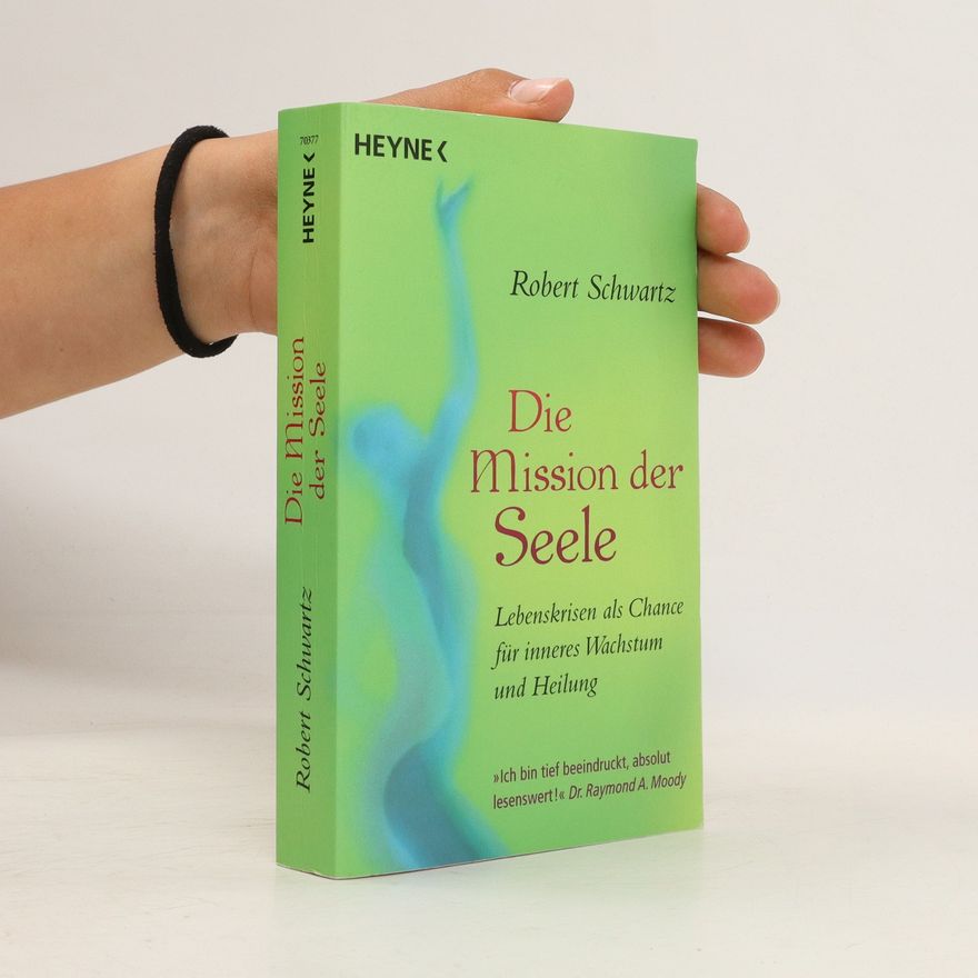 Robert Schwartz Die Mission der Seele