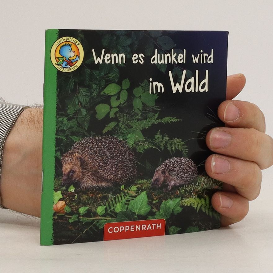 Autorenkollektiv Wenn es dunkel wird im Wald