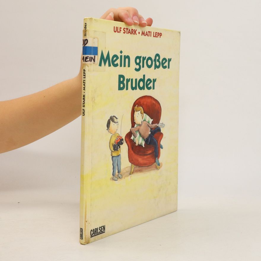 Ulf Stark Mein grosser Bruder