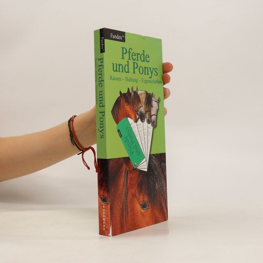 Gina Beitscher Pferde und Ponys
