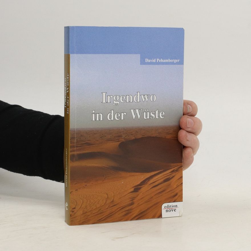 David Pehamberger Irgendwo in der Wüste