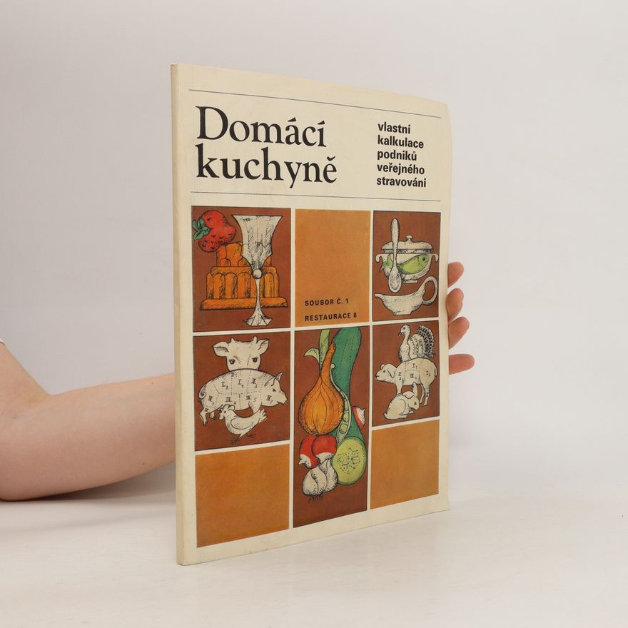 Kolektiv autorů Domácí kuchyně