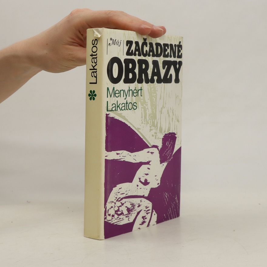 Menyhért Lakatos Začadené obrazy