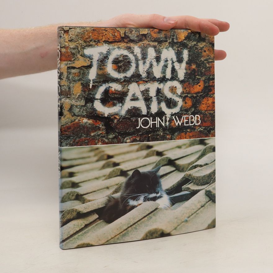 John Webb Town Cats