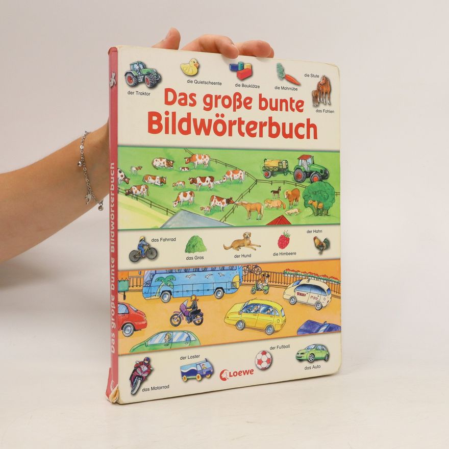 Christine Bietz Das große bunte Bildwörterbuch