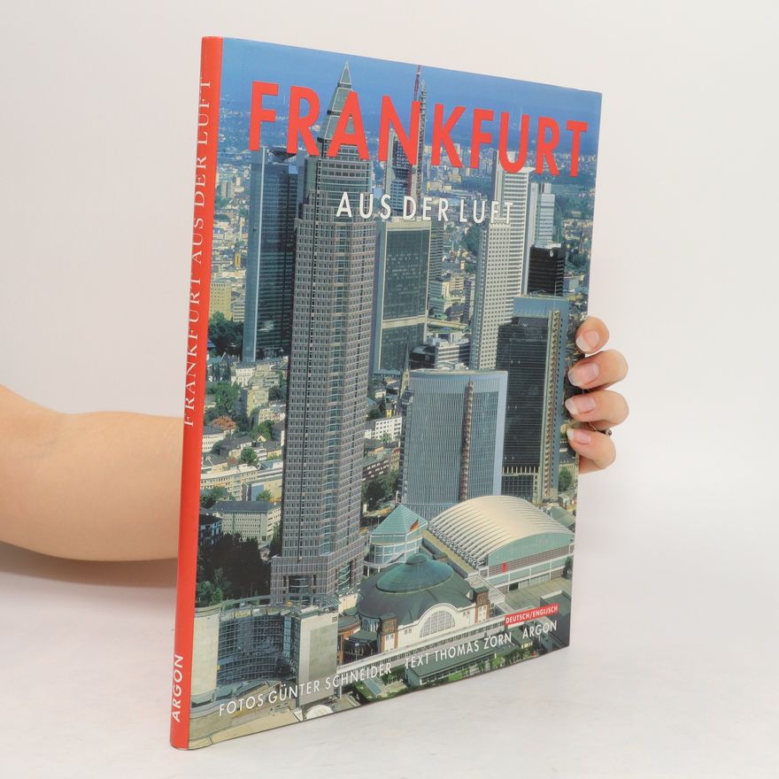 Günter Schneider Frankfurt aus der Luft