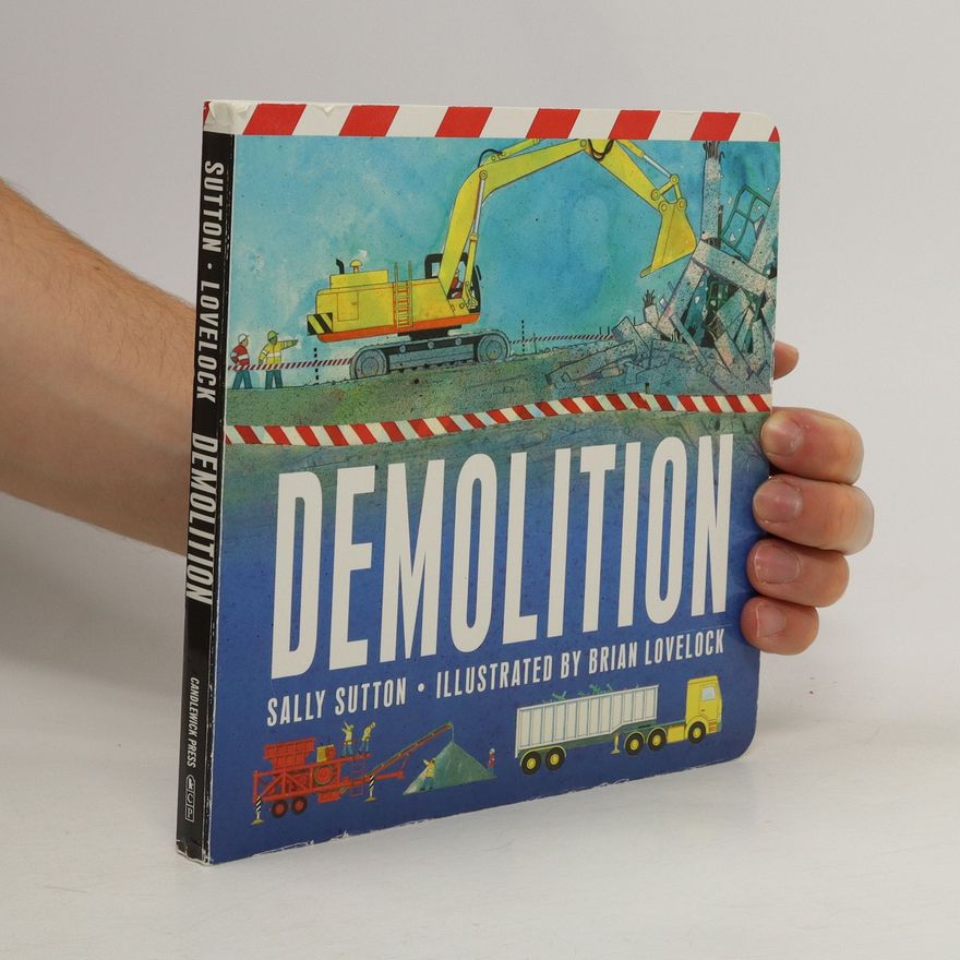 Sally Sutton Demolition