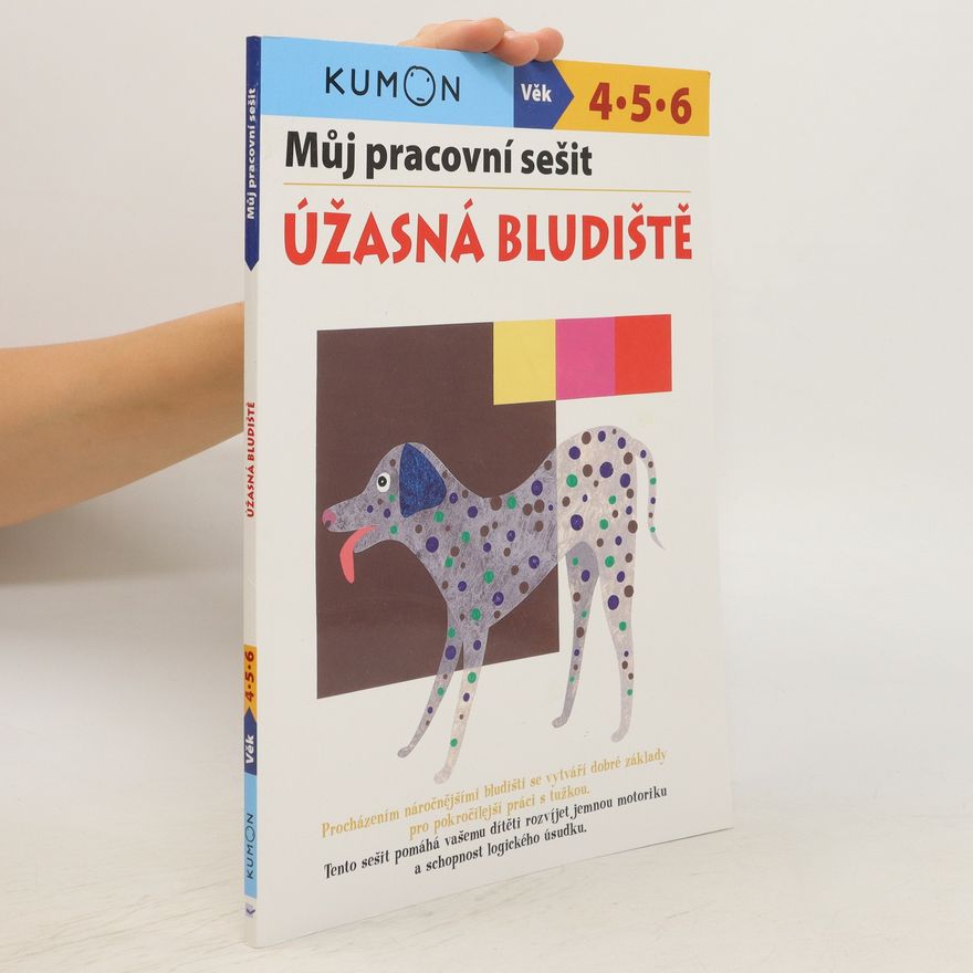 Toshihiki Karakido Můj pracovní sešit: Úžasná bludiště