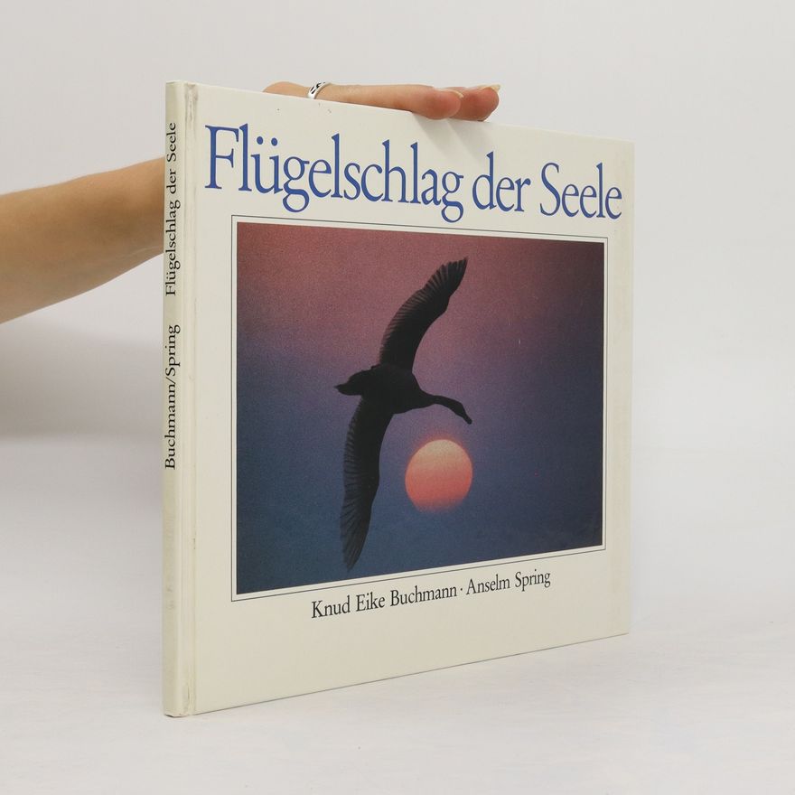 Anselm Spring Flügelschlag der Seele