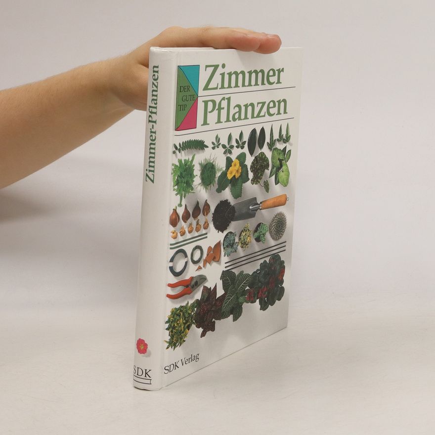 Susanne Härtel Zimmer-Pflanzen