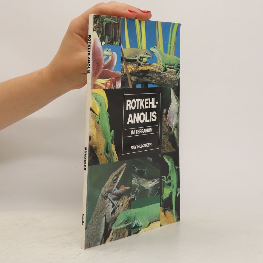 Ray Hunziker Rotkehl-Anolis im Terrarium