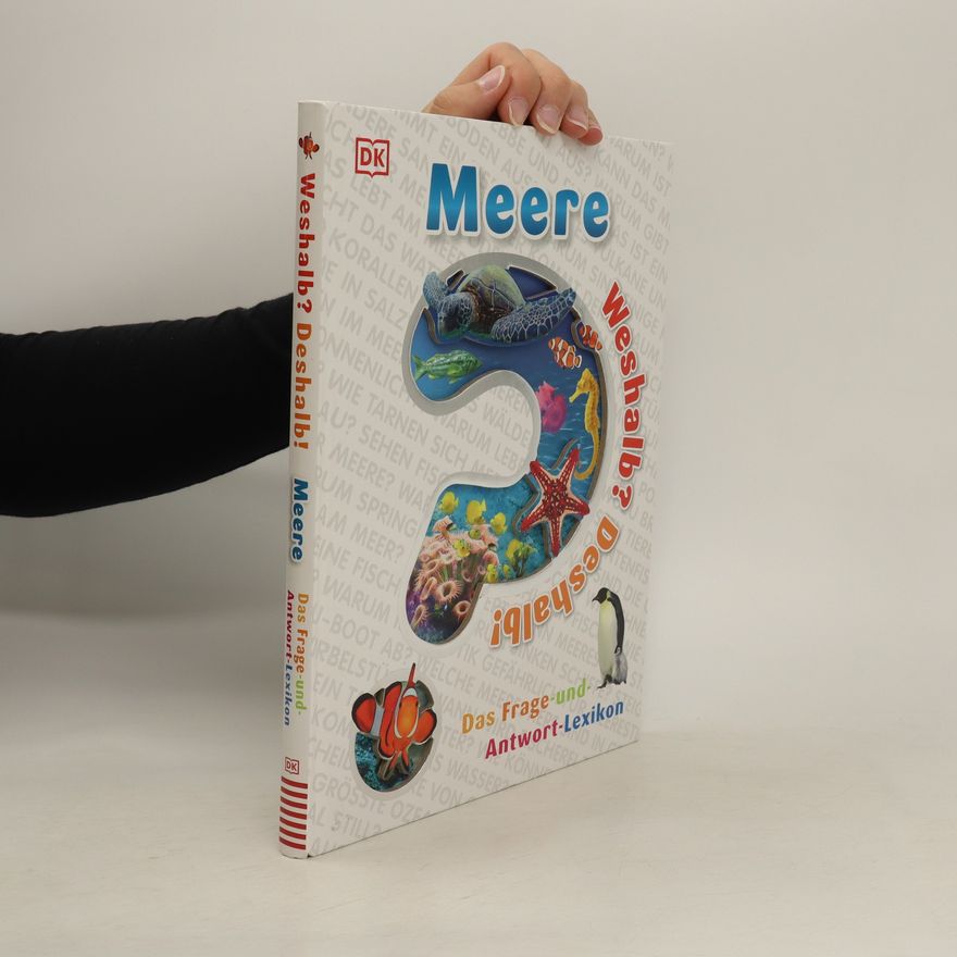 Steve Setford Meere