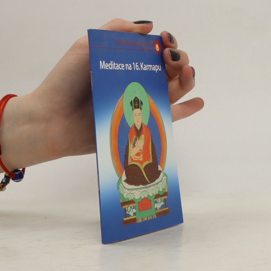 Kolektiv autorů Meditace na 16. Karmapu