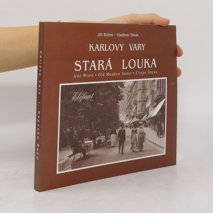 Vladimír Dlesk Karlovy Vary. Stará louka