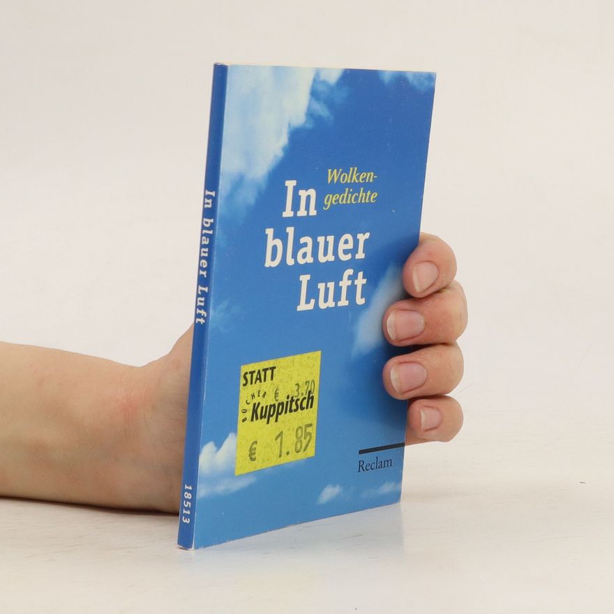 Andrea Wüstner In blauer Luft