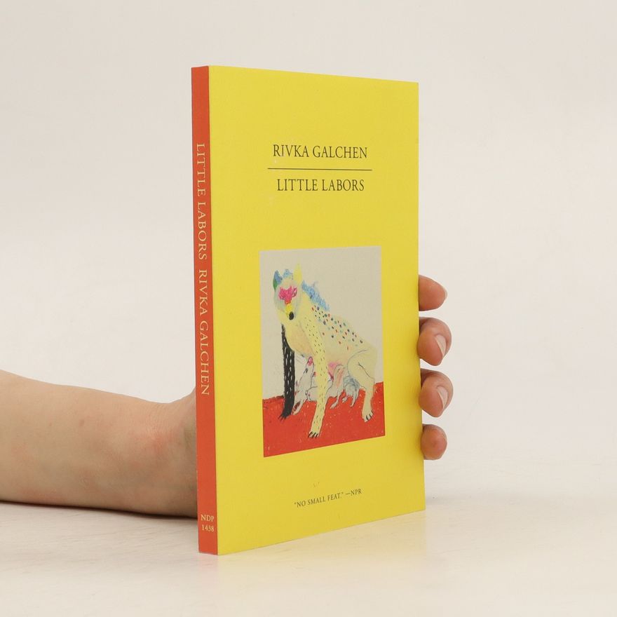 Rivka Galchen Little Labors