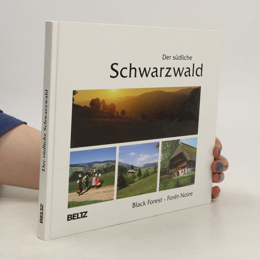 Karl Weidenbach Der südliche Schwarzwald