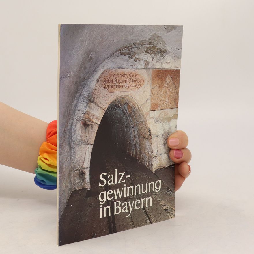 Kolektiv autorů Salzgewinnung in Bayern