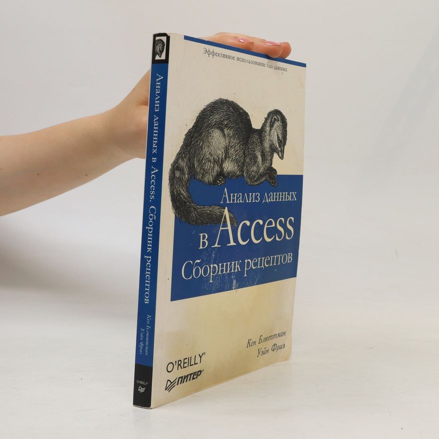 Ken Bluttman Анализ данных в Access. Сборник рецептов (Analiz dannykh v Access. Sbornik retseptov)