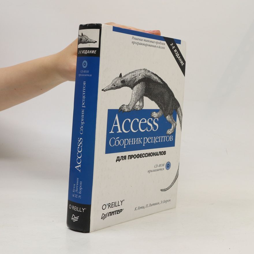 P. Litvin Решение типовых проблем программирования в Access (Resheniye tipovykh problem programmirovaniya v Access) (