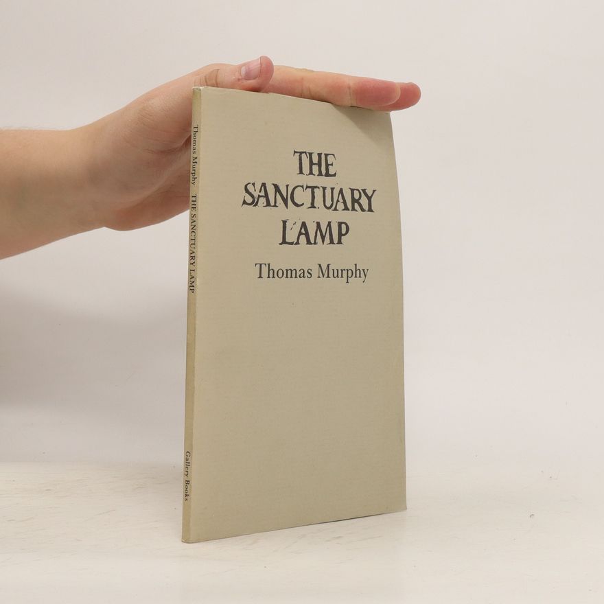 Thomas Murphy The Sanctuary Lamp