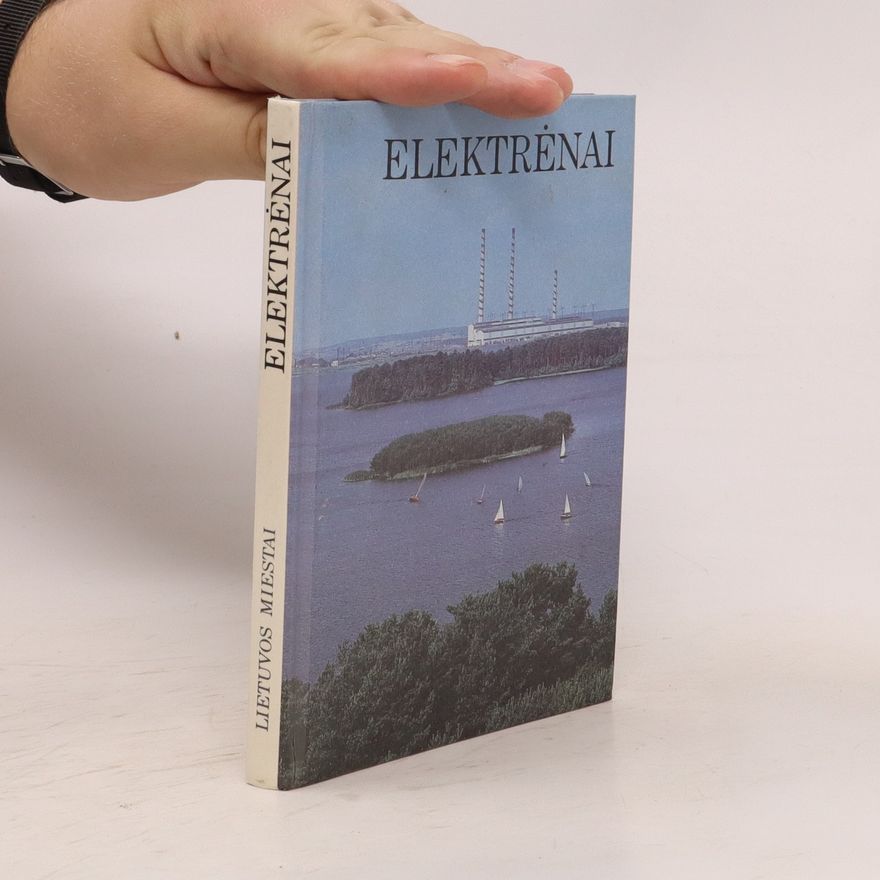 Autorenkollektiv Elektrénai. Lietuvos miestai
