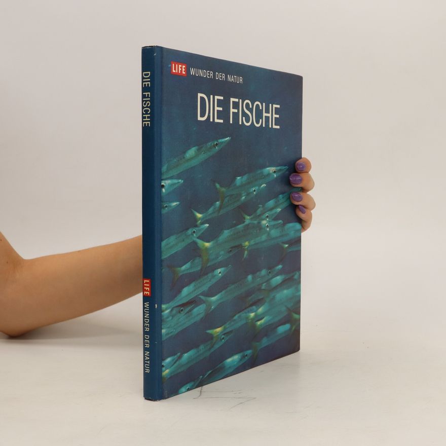 Kolektiv autorů Die Fische von F.D. Ommanney