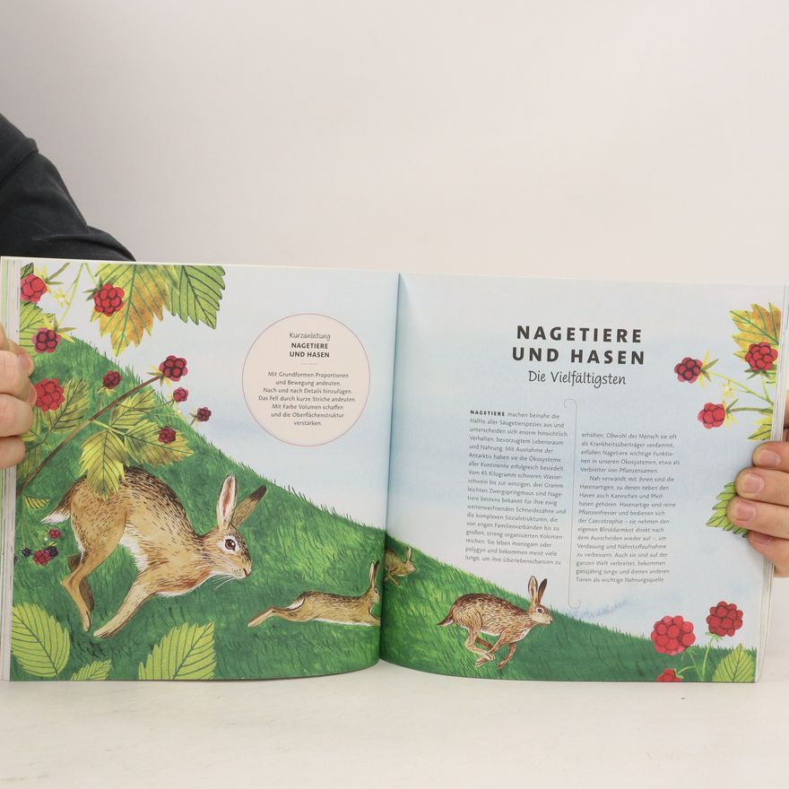 Oana Befort Zeichenschule Wildtiere