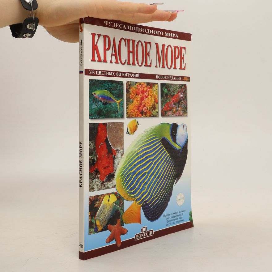 Autorenkollektiv Красное море. Krasnoye more
