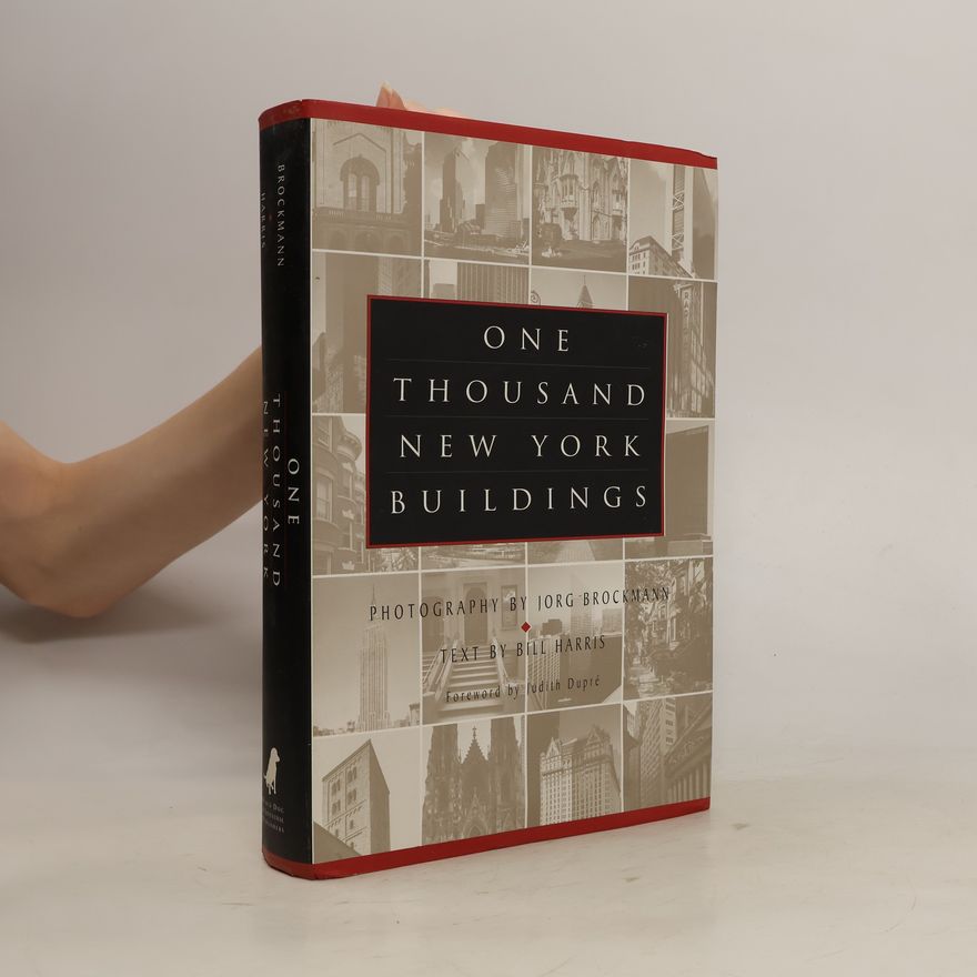 Jörg Brockmann One Thousand New York Buildings