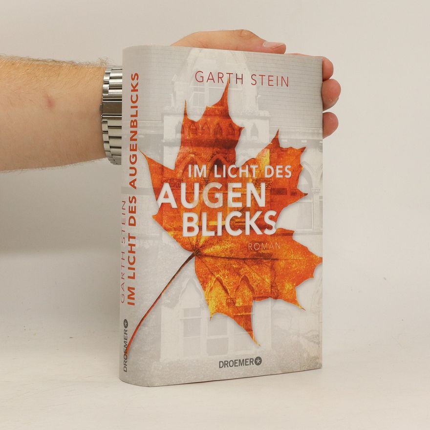 Garth Stein Im Licht des Augenblicks