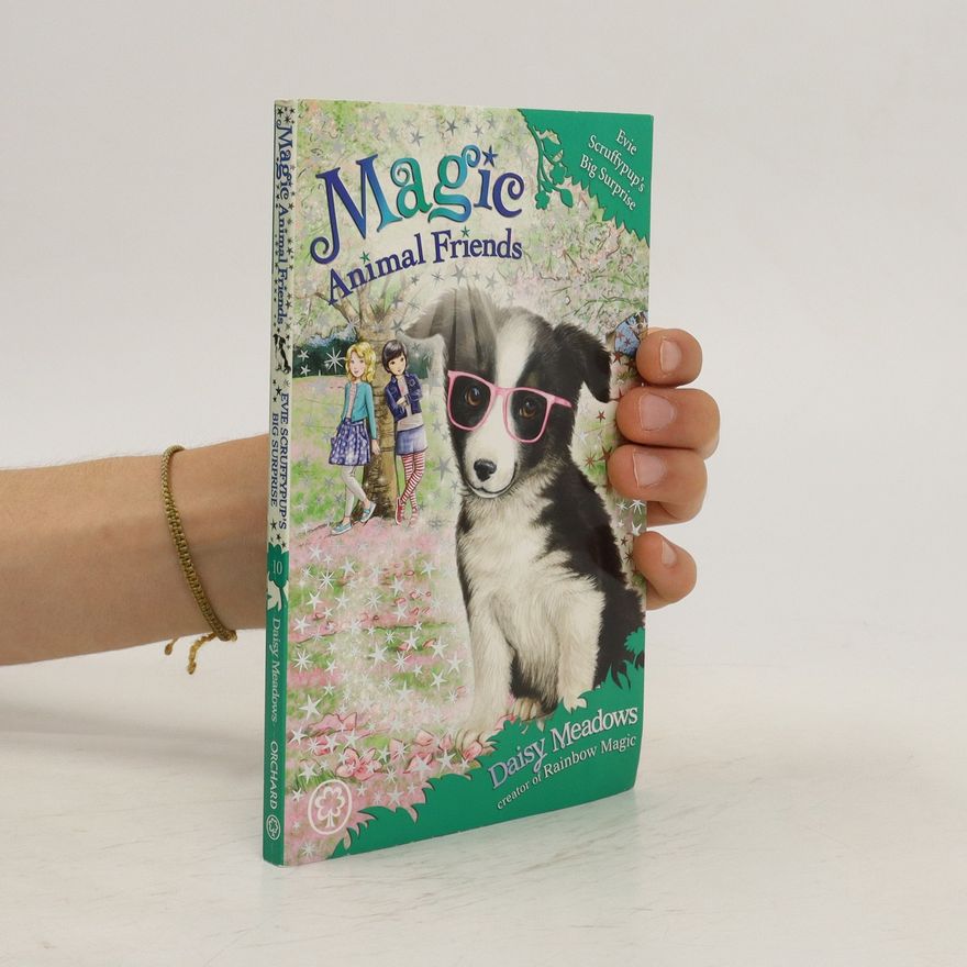 Daisy Meadows Magic Animal Friends