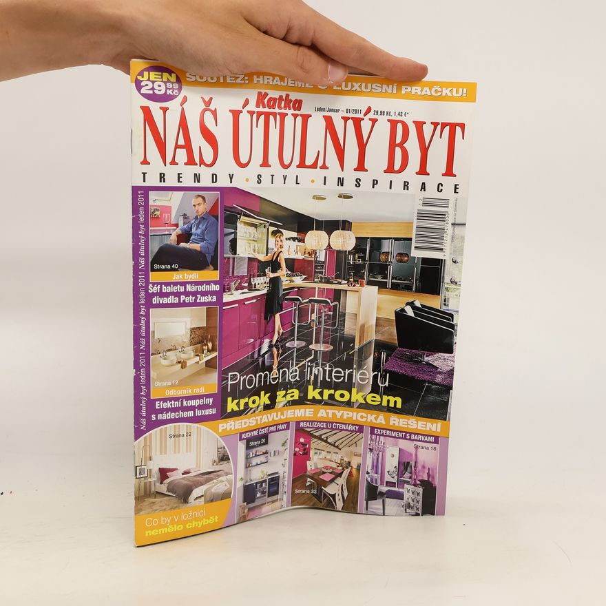 Kolektiv autorů Náš útulný byt 01/2011