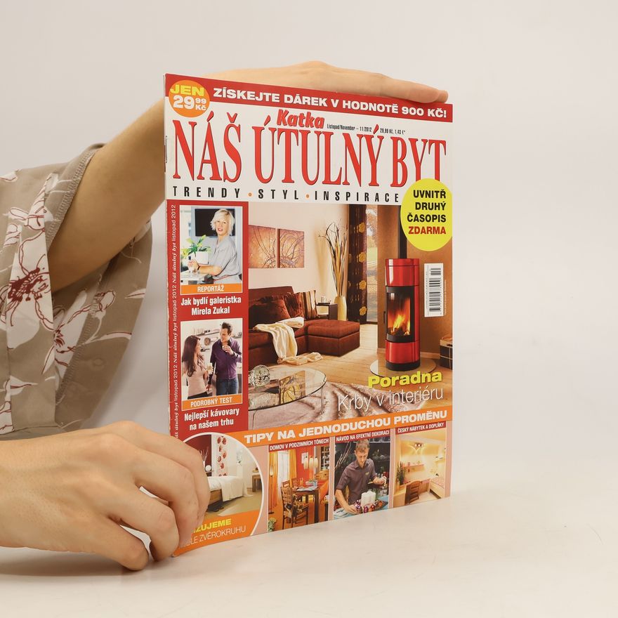 Kolektív autorov Náš útulný byt 11/2012