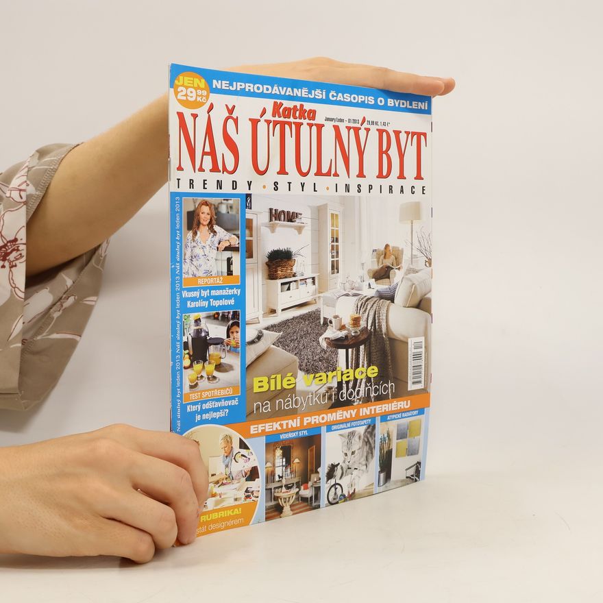 Kolektiv autorů Náš útulný byt 1/2013