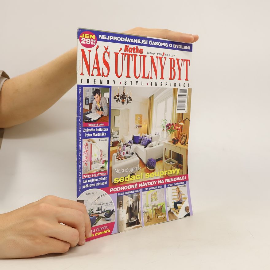 Kolektív autorov Náš útulný byt 02/2011