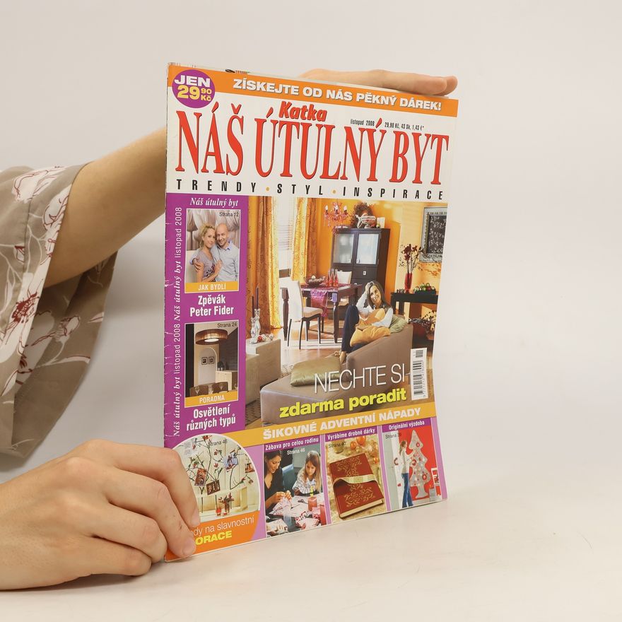 Kolektiv autorů Náš útulný byt 11/2008