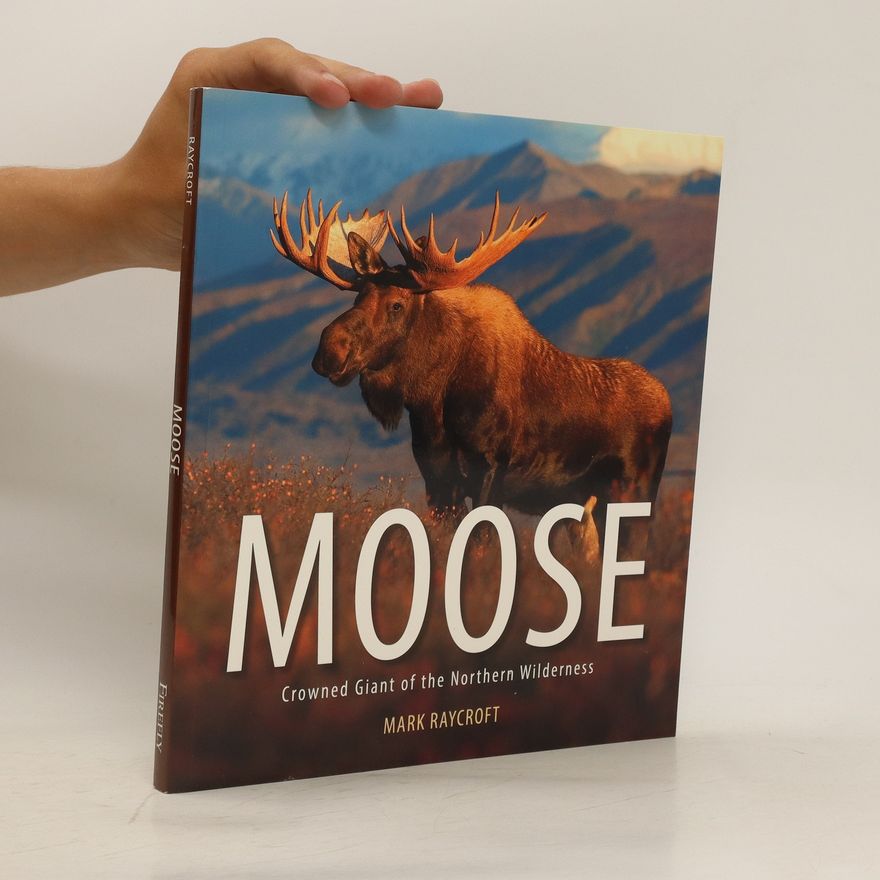 Mark Raycroft Moose