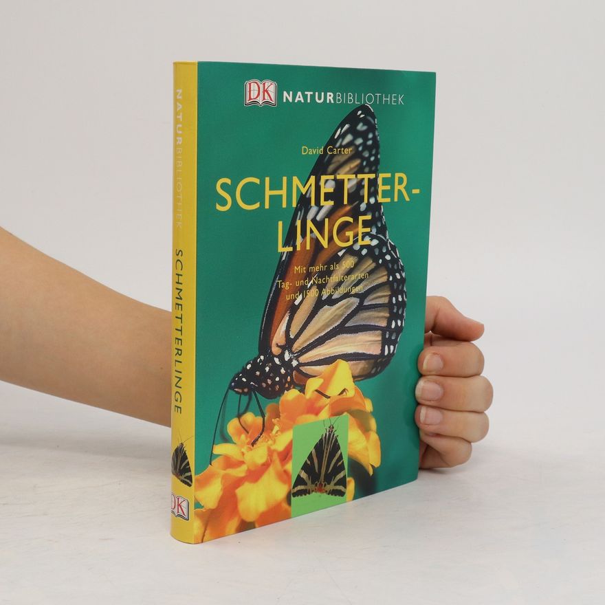 David Carter Schmetterlinge