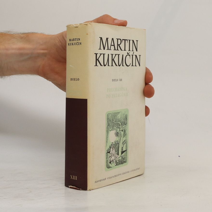 Martin Kukučín Prechádzka po patagónii III