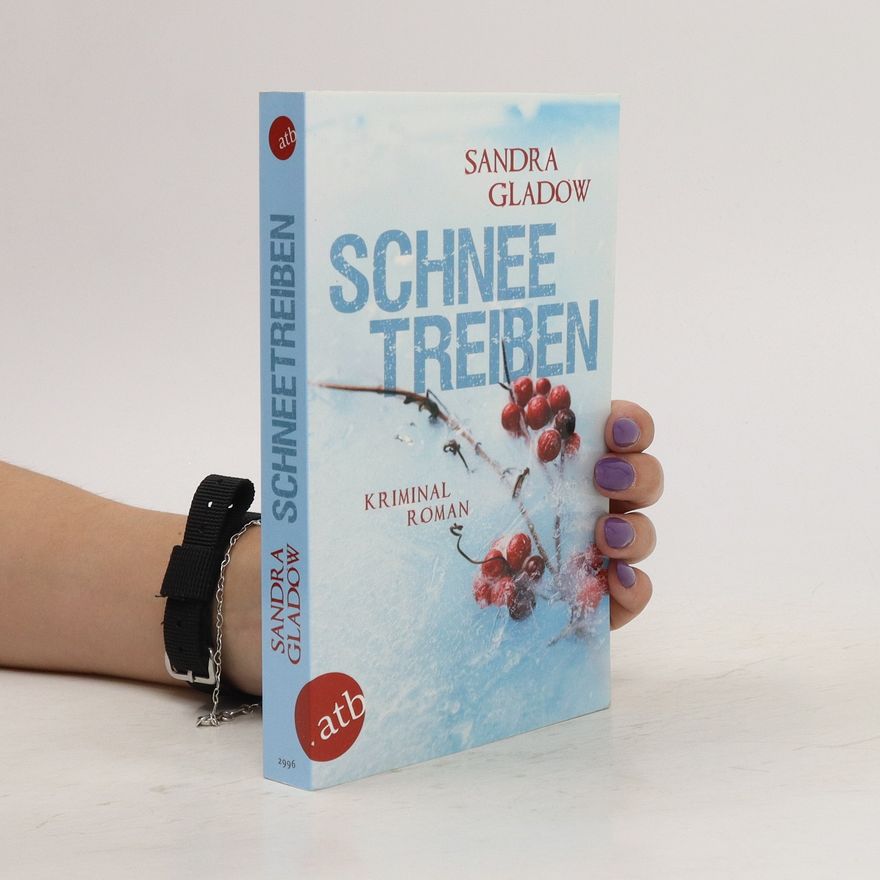 Sandra Gladow Schneetreiben
