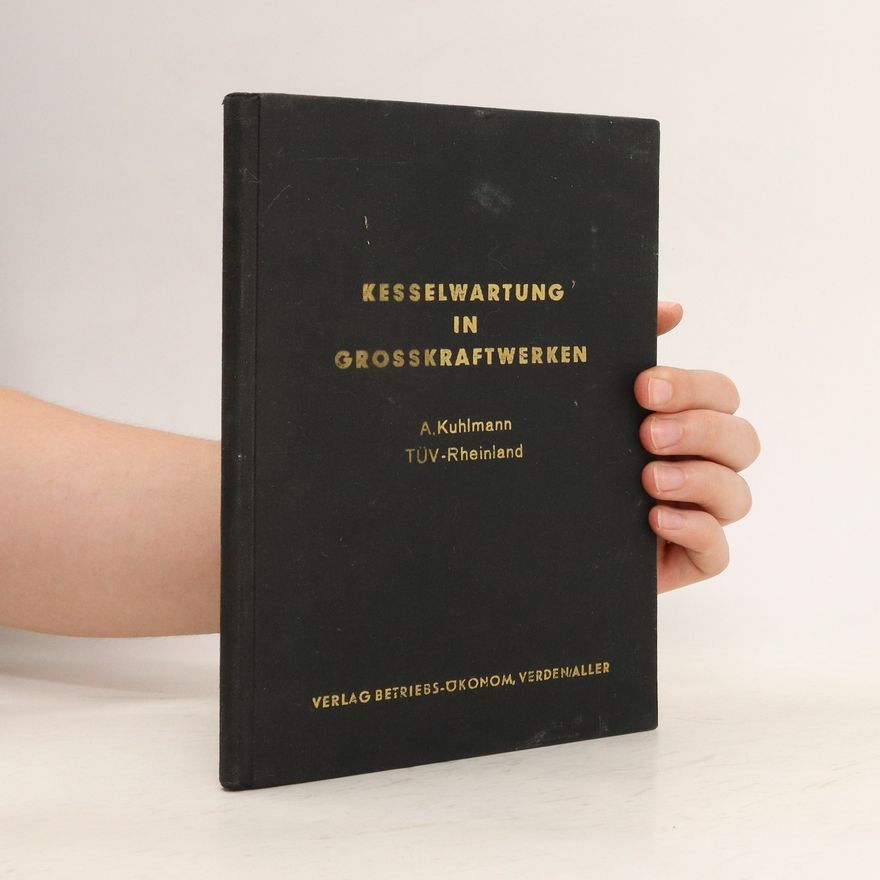 Autorenkollektiv Kesselwartung in Großkraftwerken