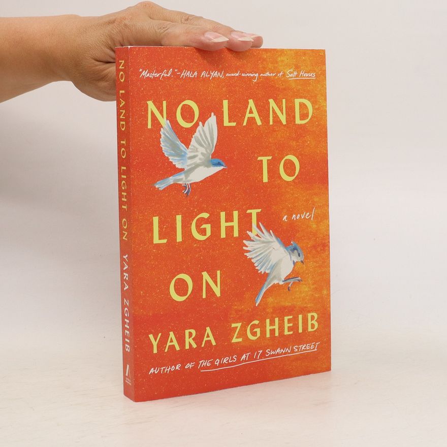 Yara Zgheib No Land to Light On