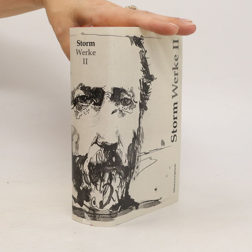 Theodor Storm Storm Werke 2