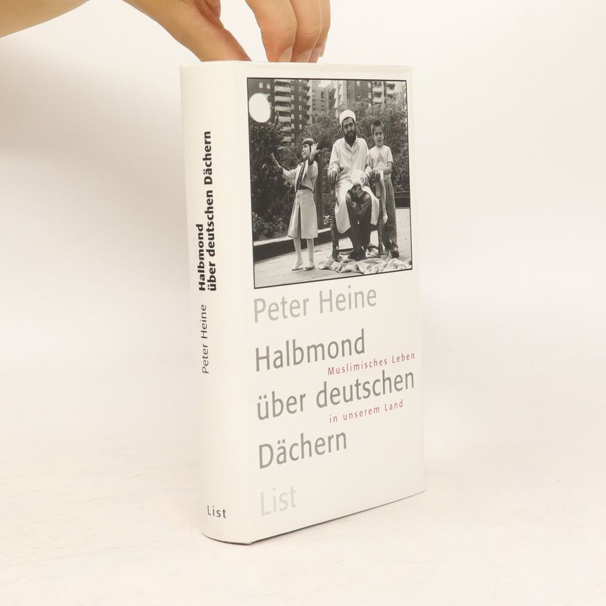 Peter Heine Halbmond über deutschen Dächern